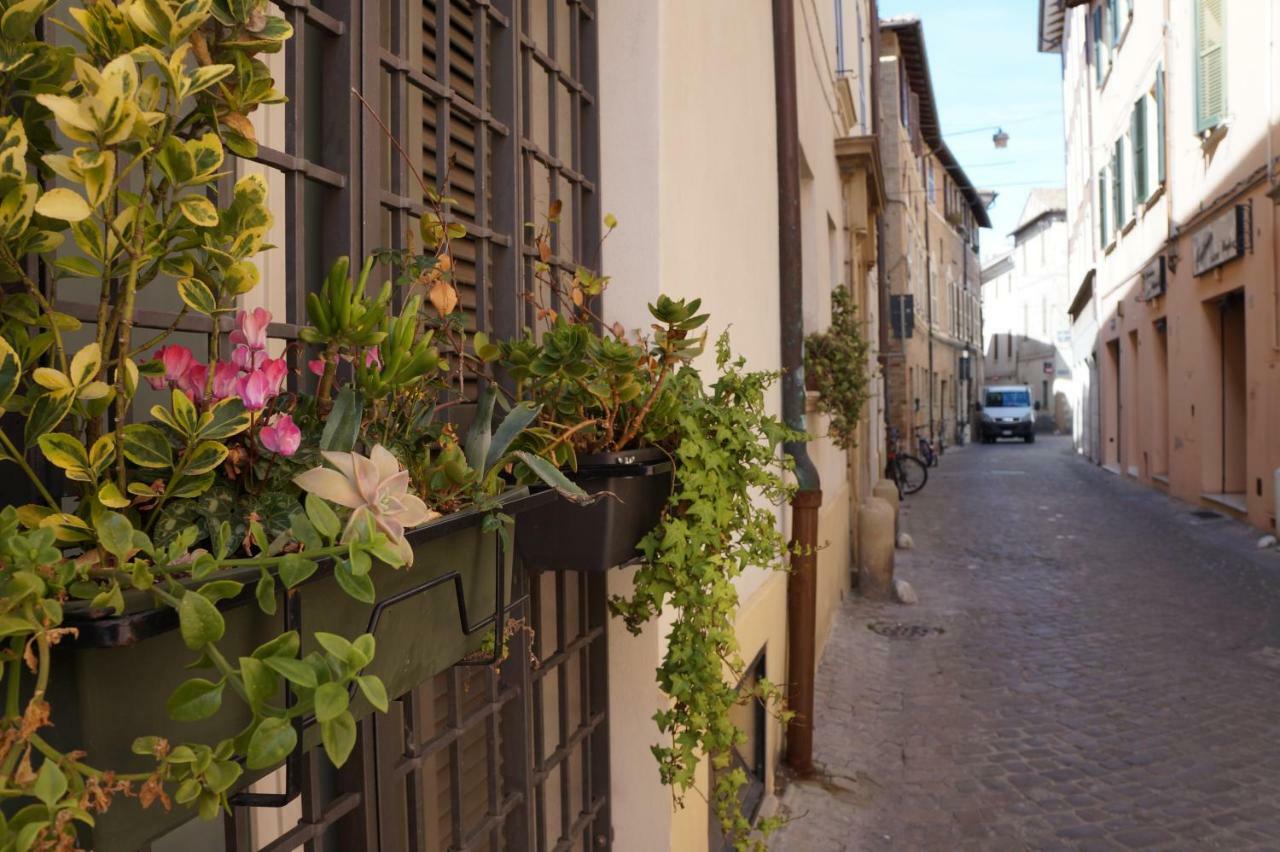 Bed and Breakfast Il Vicolo 48 Pesaro Exteriér fotografie